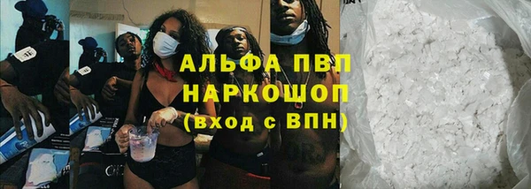 стаф Нефтегорск