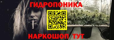 ECSTASY Пенза